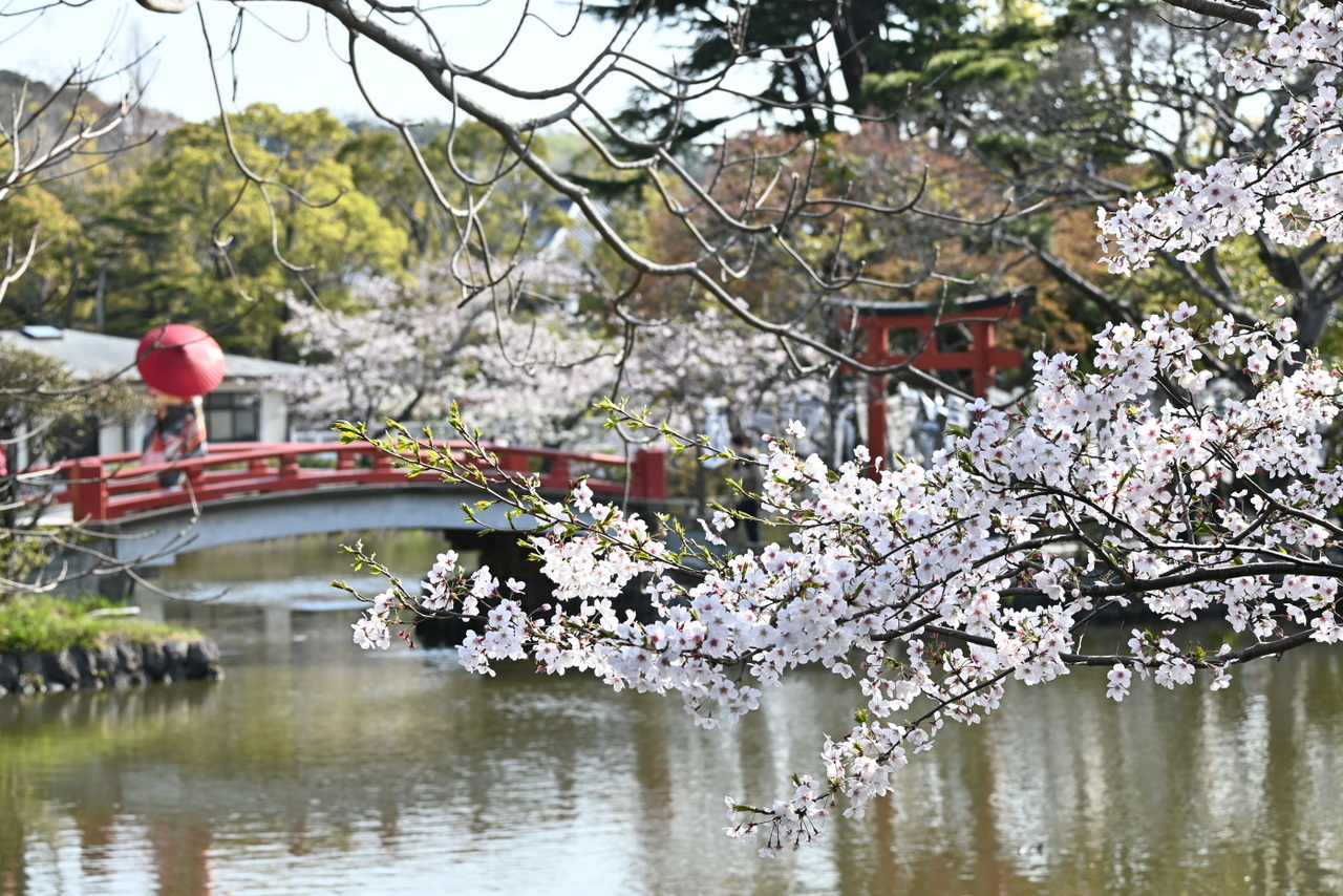 旗上弁財天社のご利益と政子石の真実【鶴岡八幡宮の最強聖地】