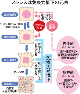 「以上」は基準の数字を含むのか？以下・未満との違いと現場の暗記法