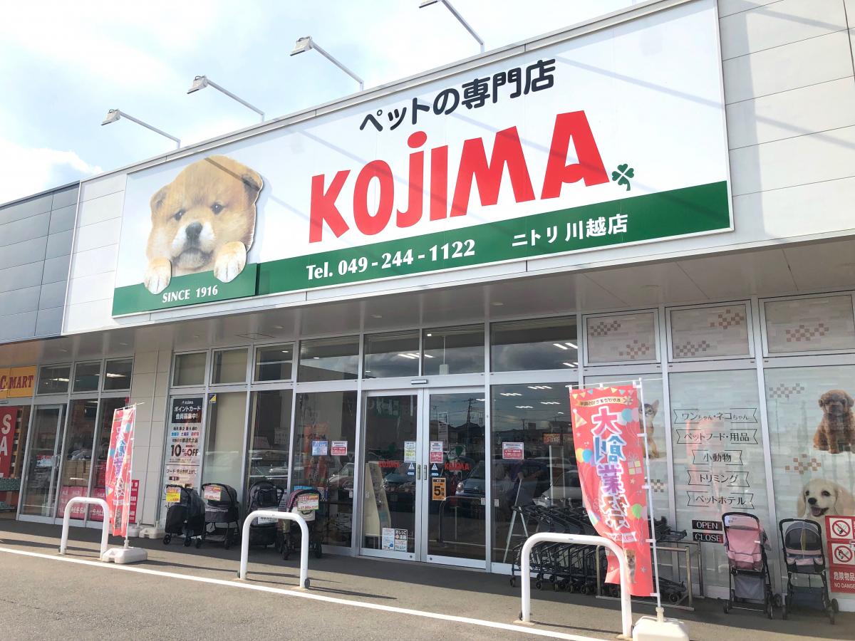 ペットのコジマはやばい？評判と子犬子猫の価格相場・口コミ徹底検証