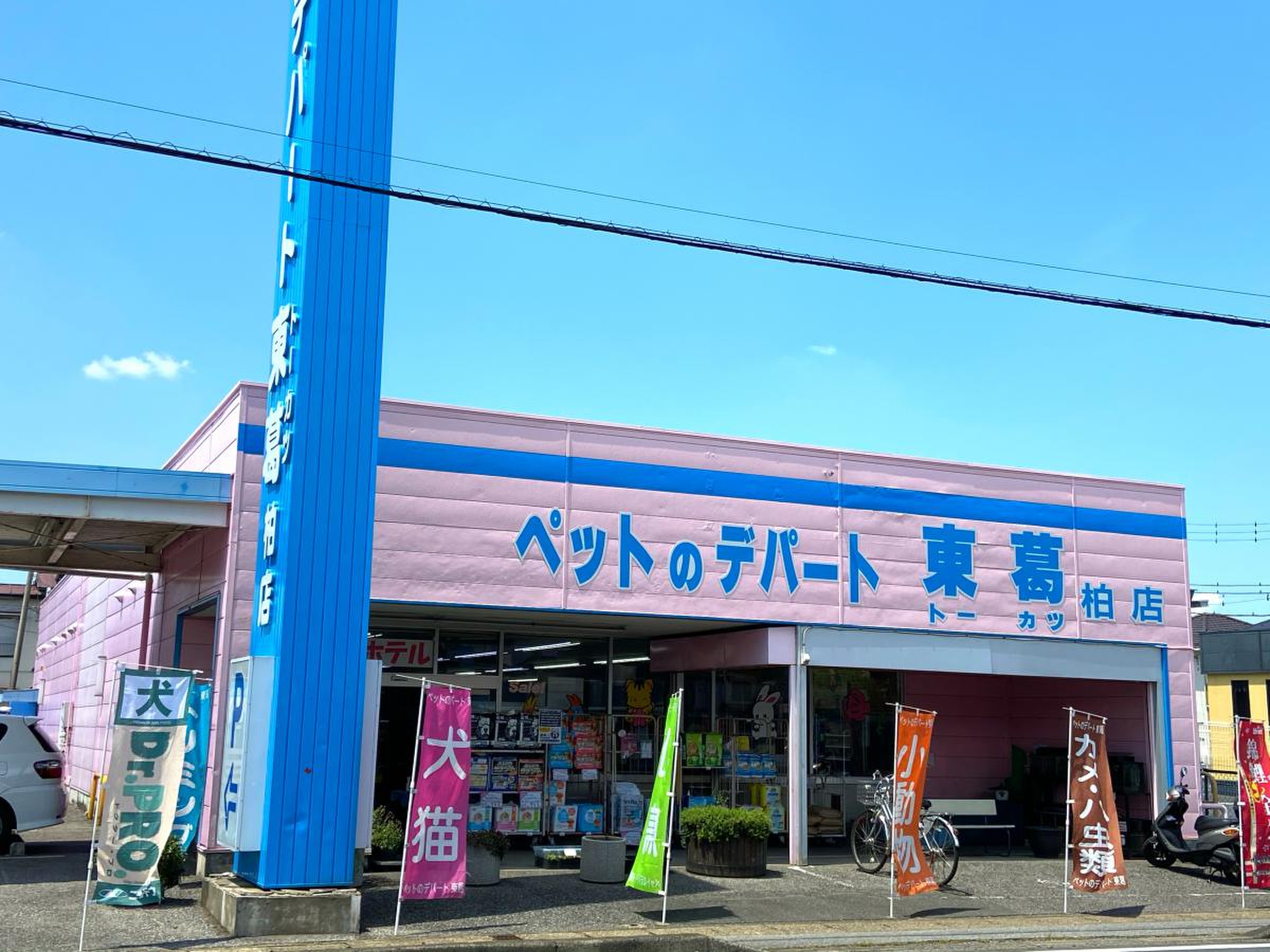 ペットのデパート東葛の評判はやばい？噂の真相と2026年最新の実態