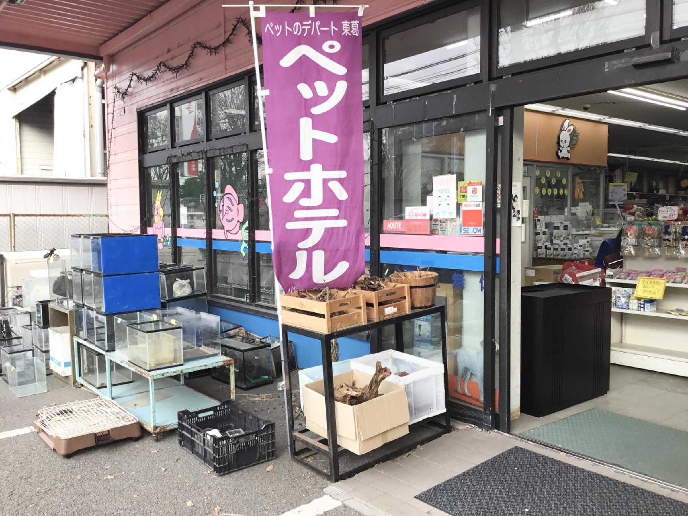 ペットのデパート東葛厚木店の評判は？生体価格やトリミング料金を徹底検証