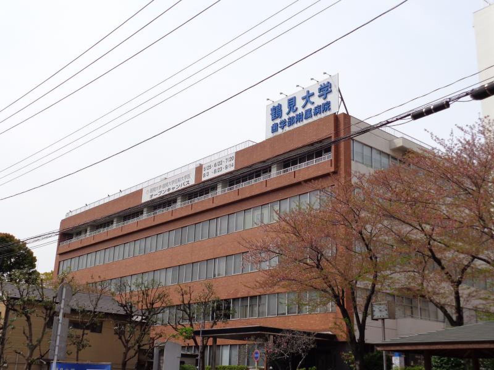 鶴見大学歯学部附属病院の評判は？初診予約や紹介状費用を徹底解説