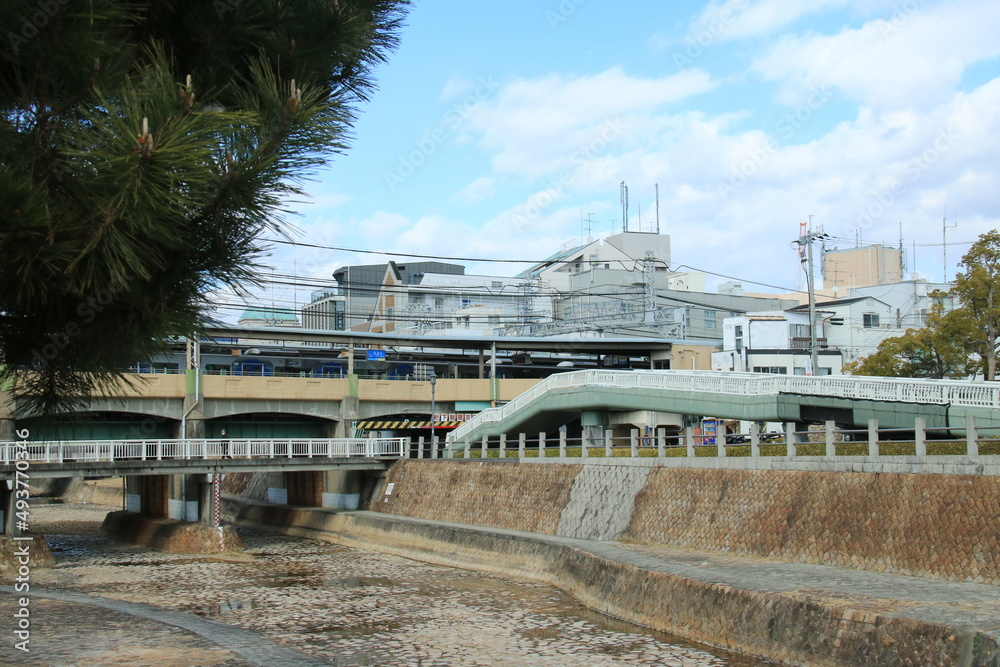 芦屋川の清流とモダニズムが交差する日常——2026年、私たちがこの静謐な街筋に惹きつけられる理由