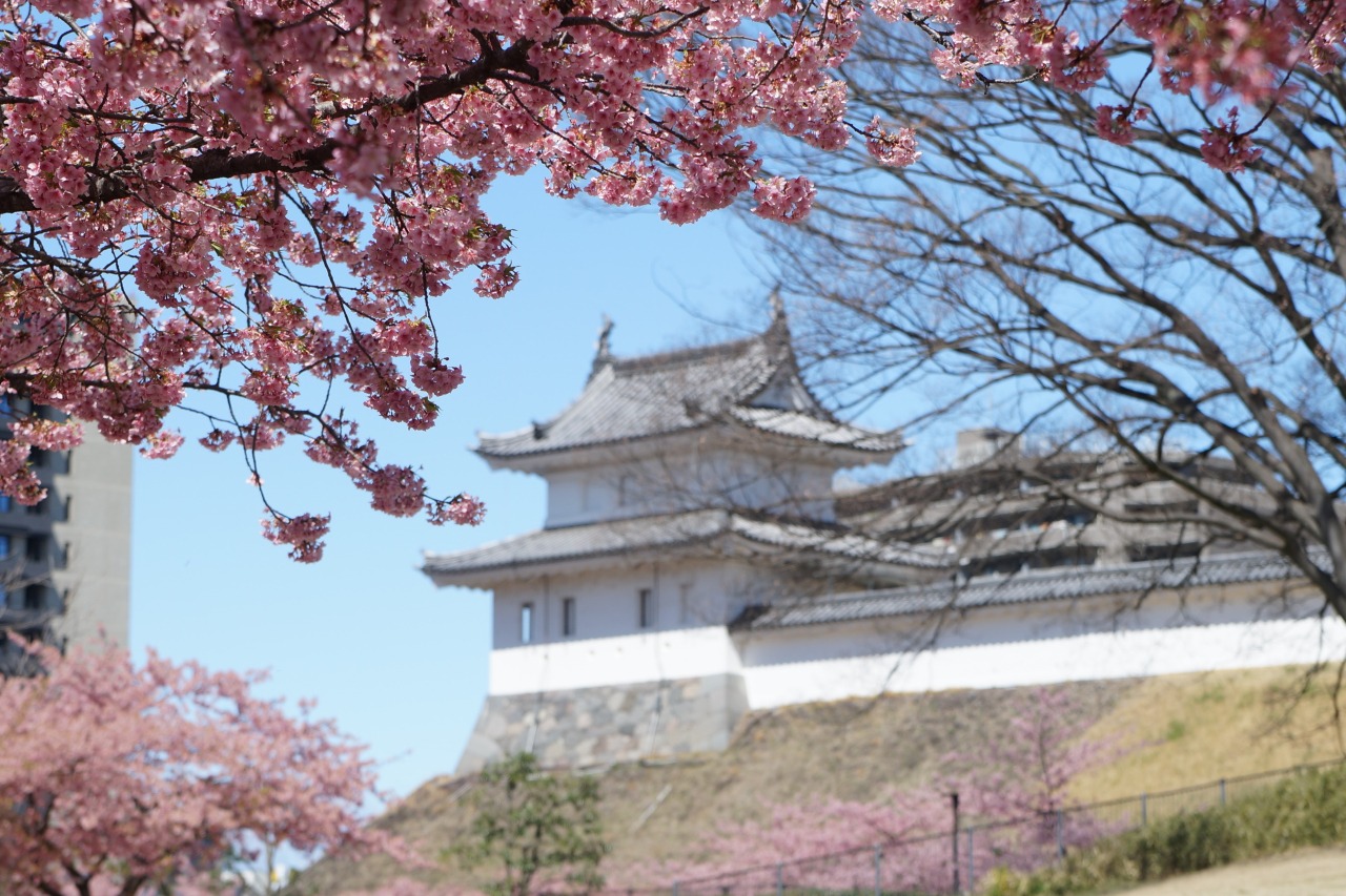 宇都宮城址公園の真相と見どころ｜天守閣の謎から2026最新桜情報まで