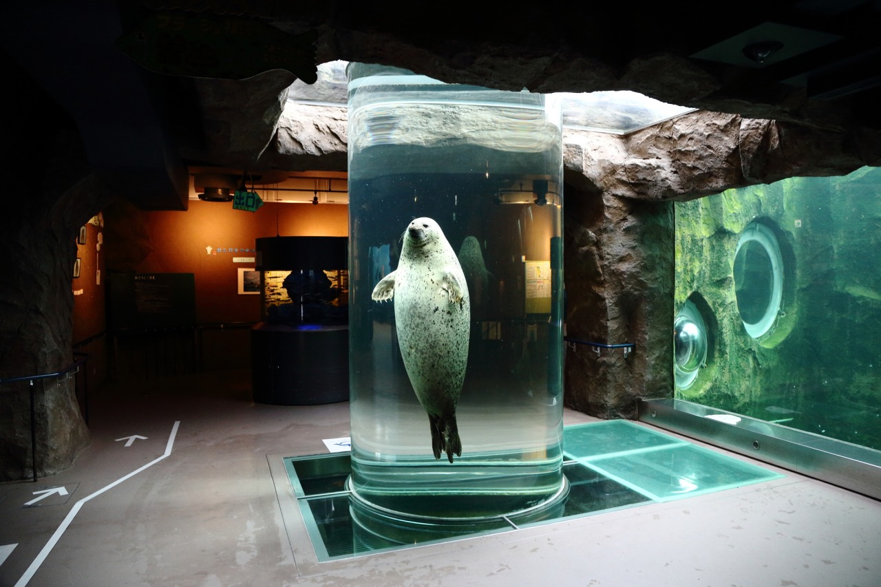旭川市旭山動物園が愛される真の理由！2026年最新の回り方と混雑回避術
