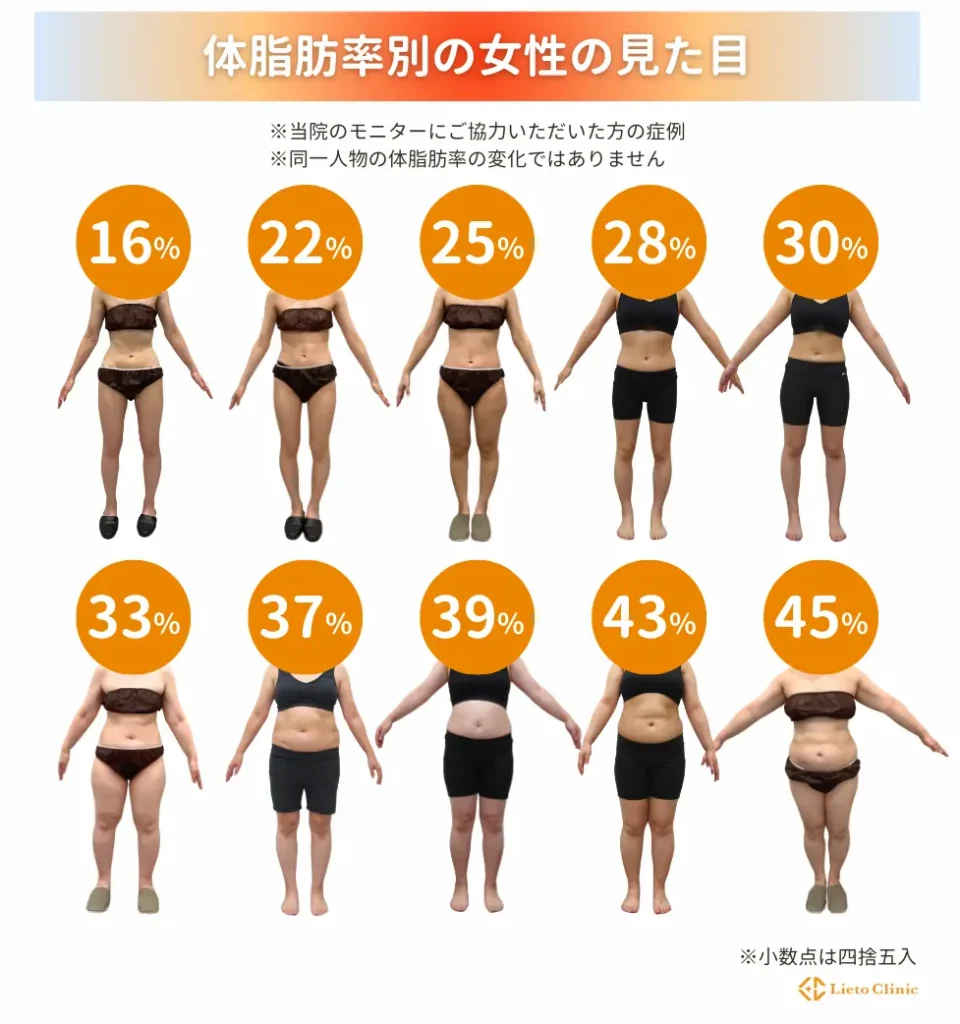 女性モデルの体脂肪率は何％？理想の見た目と痩せすぎリスクの真相