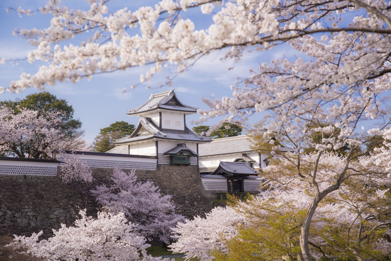 金沢城公園の真価とは？五十間長屋復元の真相と2026年最新の歩き方