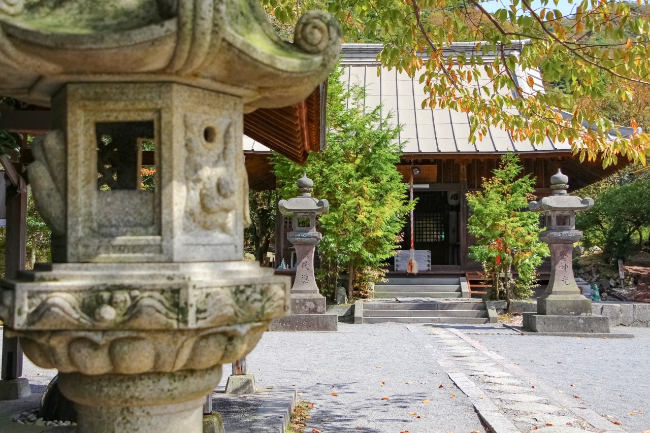 雲仙温泉神社の読み方の真相と夫婦柿のご利益！2026年最新ガイド
