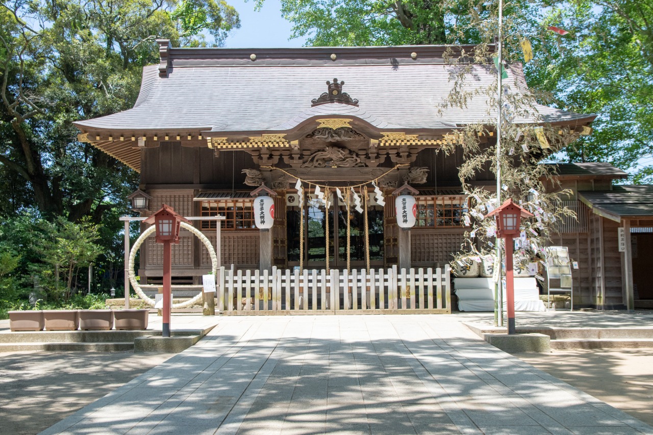 成田・麻賀多神社の真相！日月神示の聖地と樹齢1300年大杉の全貌