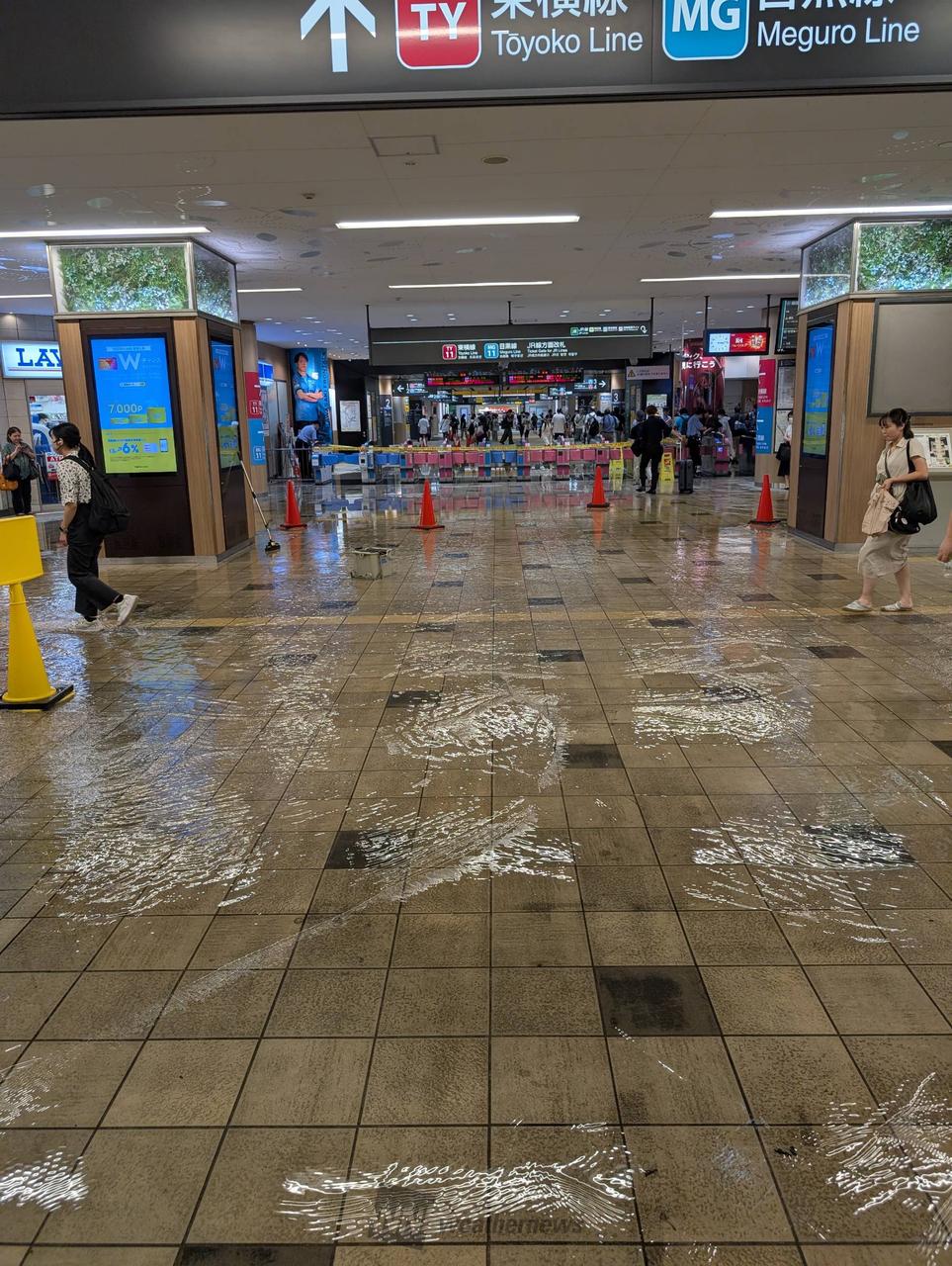 武蔵小杉の冠水はなぜ起きた？タワマン浸水の真相と現在の安全性を徹底解説