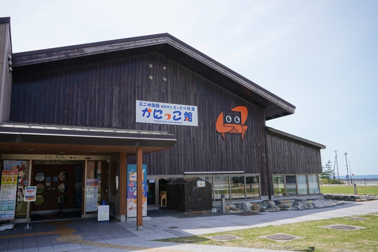 とっとり賀露かにっこ館完全攻略！無料の理由から青いカニ・周辺ランチまで