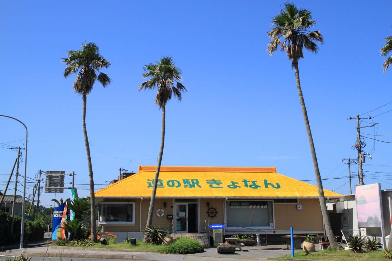 鋸南町道の駅の全貌2026！保田小学校の宿泊・給食と混雑攻略