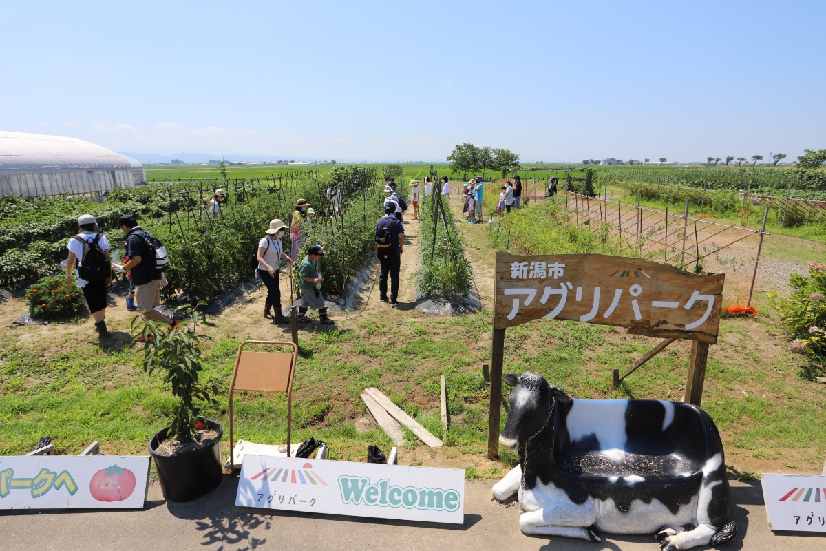 新潟市アグリパーク宿泊＆体験の評判と混雑の真実を徹底解剖【2026】