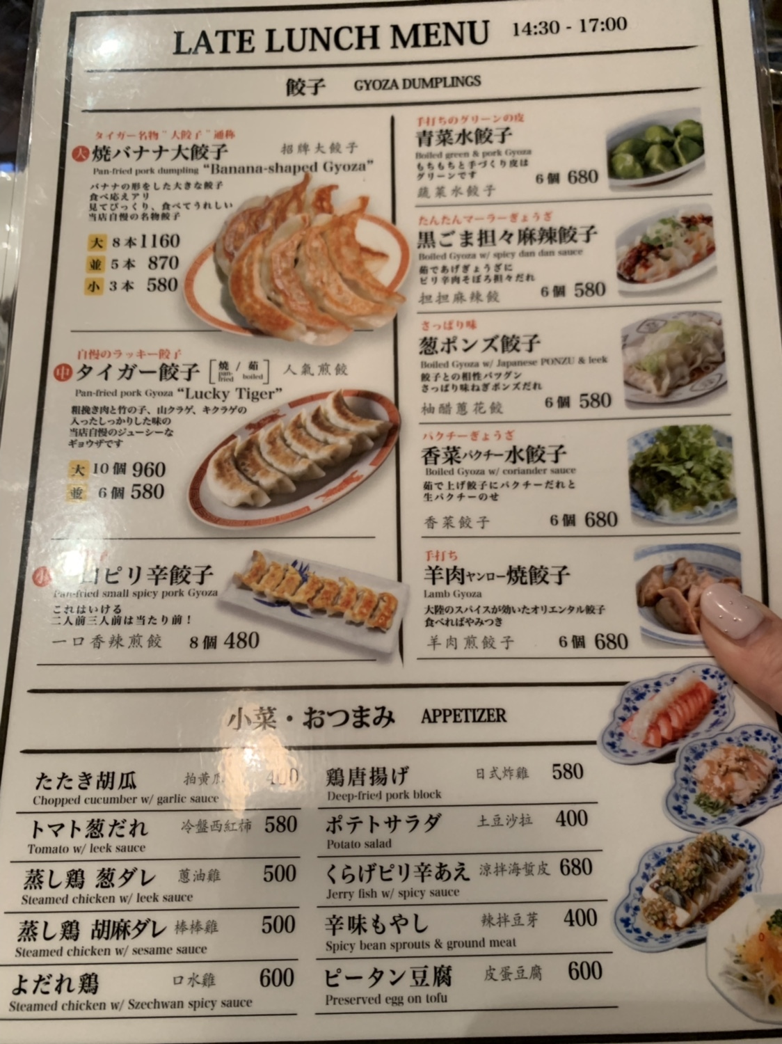 タイガー餃子河原町の真実！名物大餃子と混雑・閉店噂の全貌