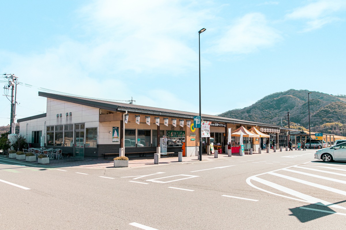 道の駅笠岡ベイファーム完全攻略！花畑の見頃や鮮魚ランチ・混雑回避術