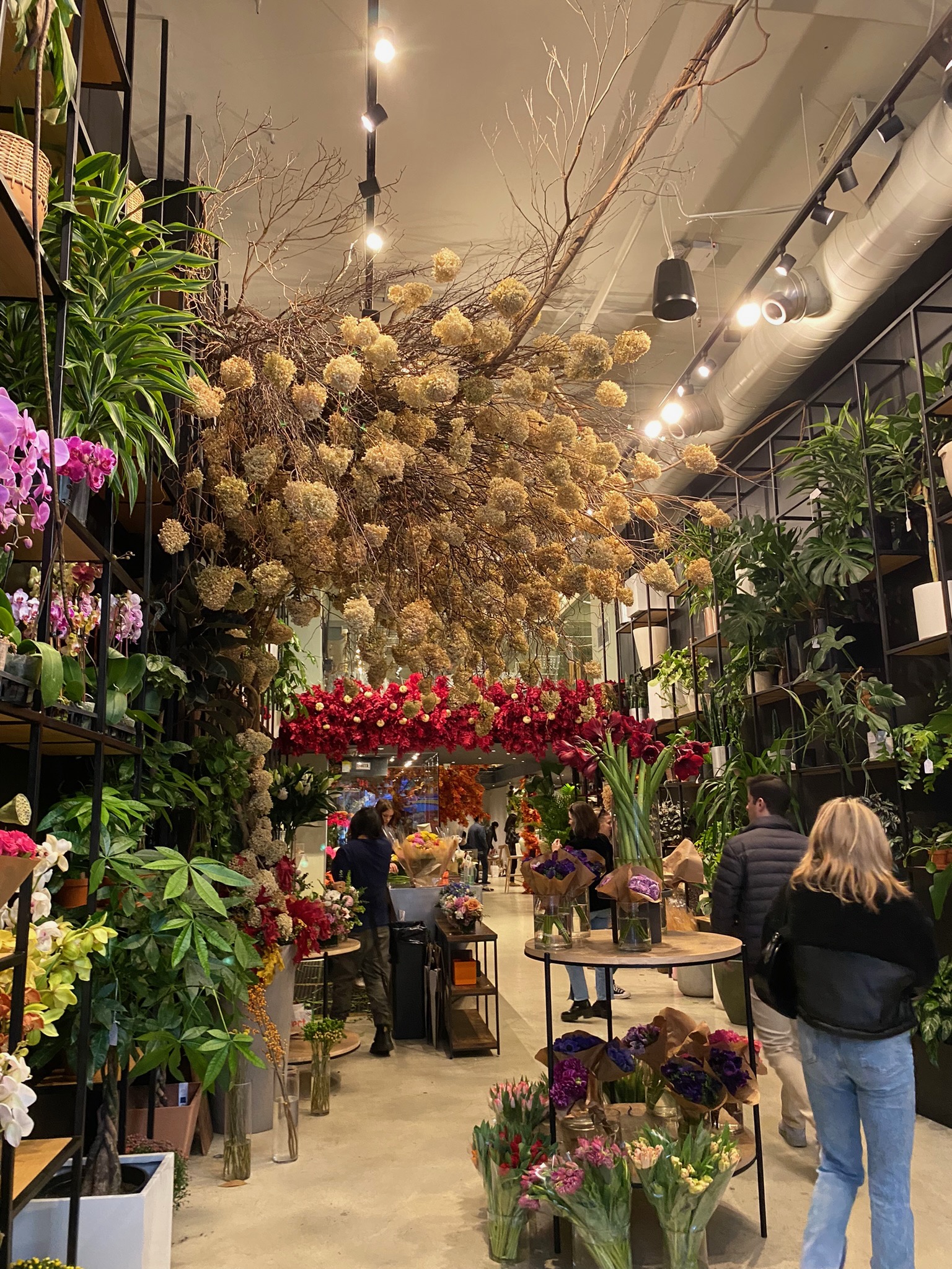【2026年最新】近くの花屋は予約なしで買える？当日Okの人気店を徹底比較