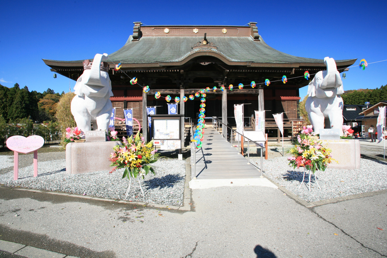 日本一当たる長福寿寺の真相！宝くじ当選と吉ゾウくんの怪しい噂を徹底検証