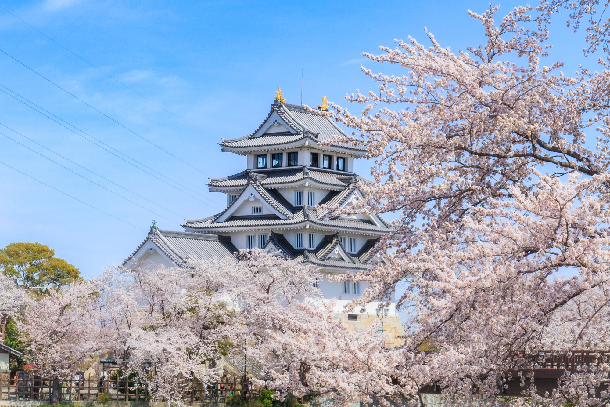 岐阜のハッテン場は現在どうなった？噂の公園・治安の真相を追う