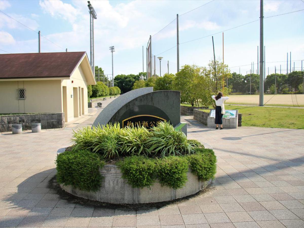 豊田市柳川瀬公園の全貌を徹底取材！予約から混雑回避まで完全解説