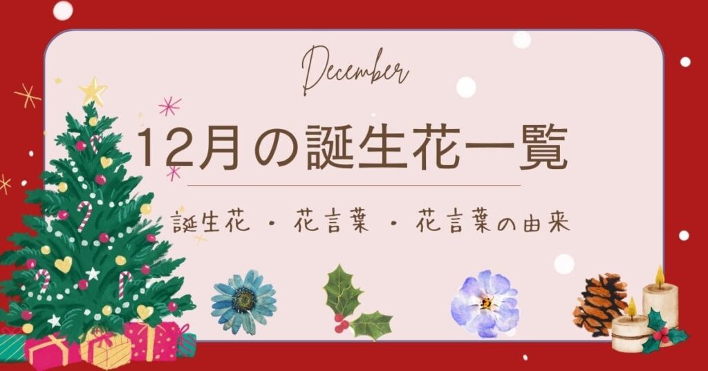 12月誕生日の真実！性格特徴からXmas合同の罠・2026年最新運勢まで
