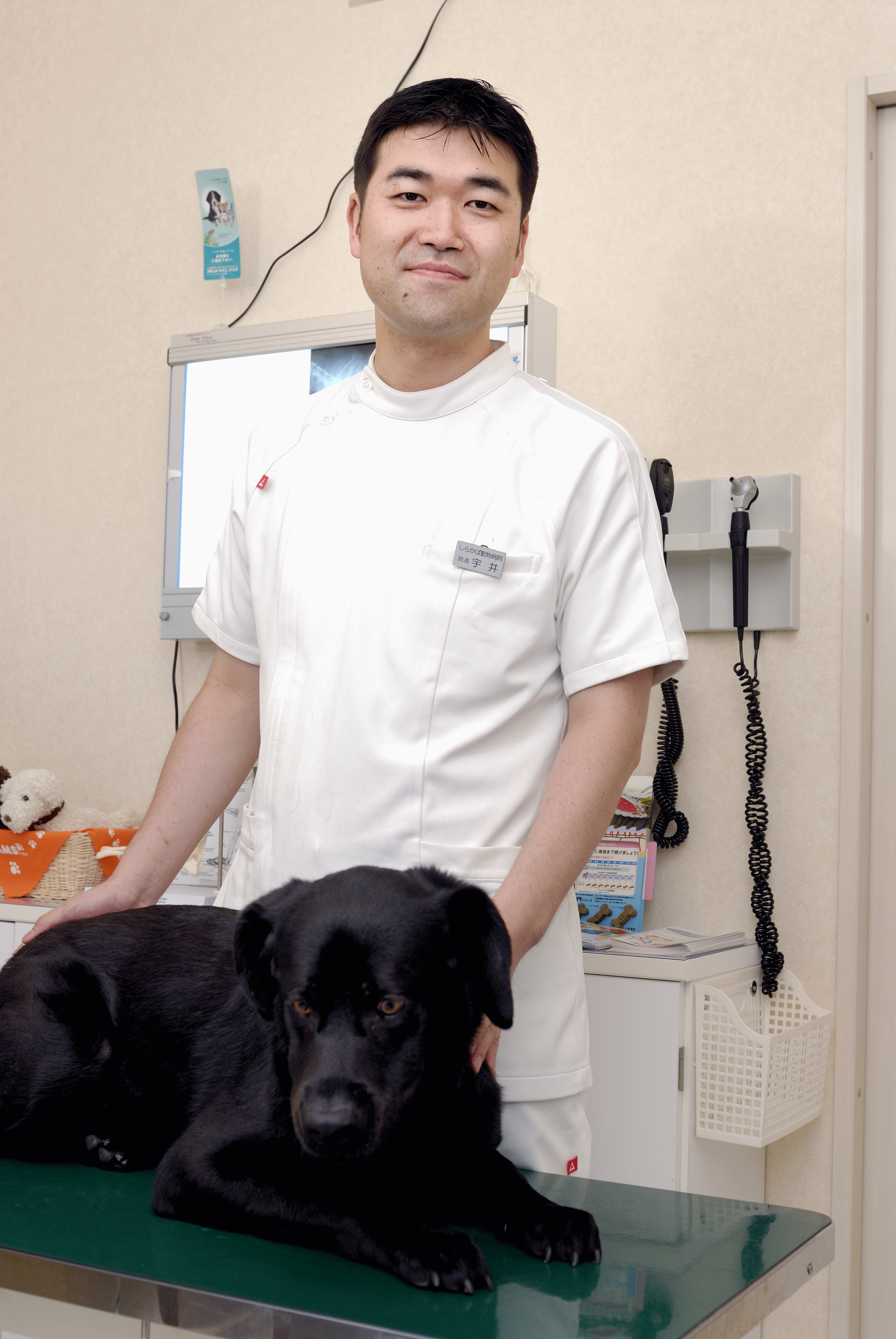 しらかば動物病院の評判と口コミ真相｜料金や混雑・夜間対応を徹底検証
