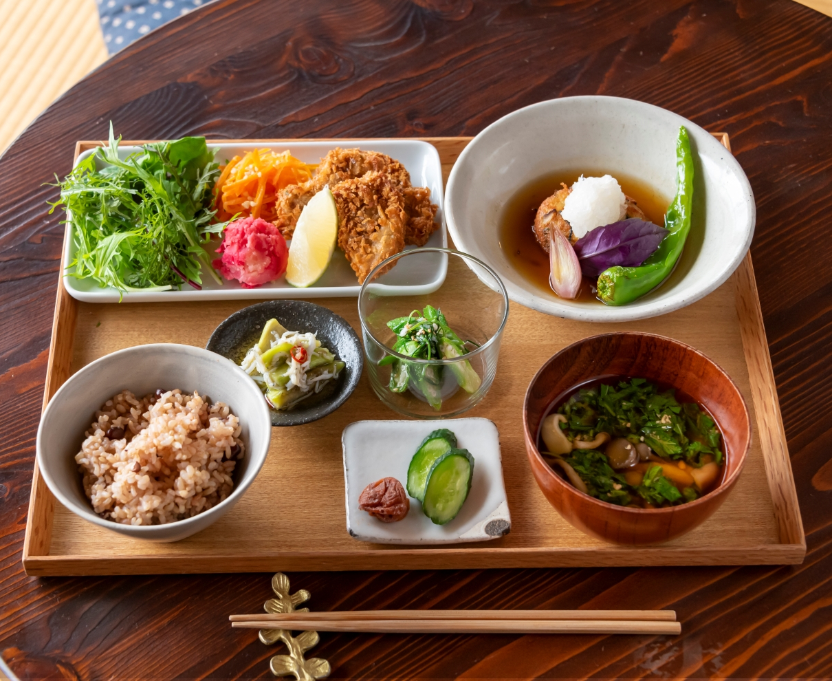 福井の隠れ家ランチ厳選！地元民が愛す名店と極上グルメ【2026】
