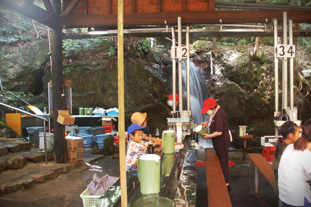 西寺水神公園そうめん流し2026最新！営業状況や料金・予約を徹底解剖
