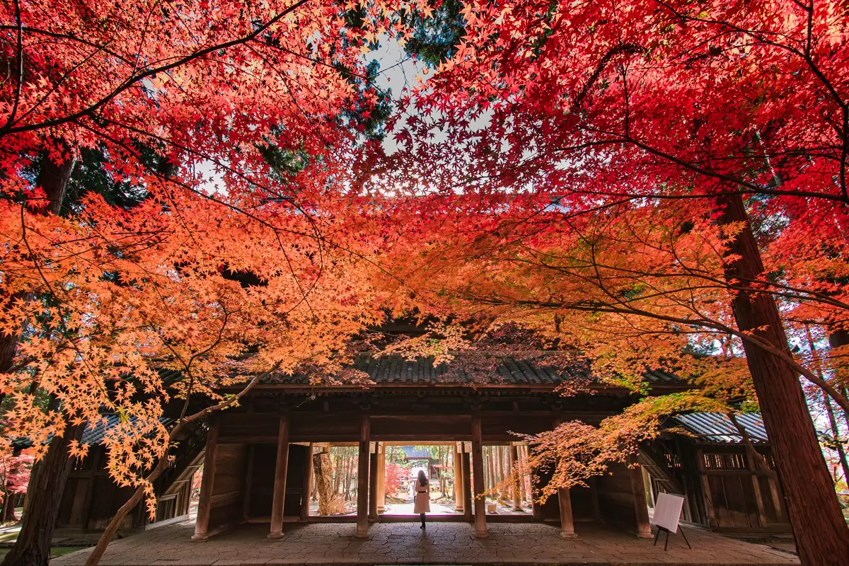曹源寺（岡山）に外国人修行僧が集う真相！見どころと座禅会徹底解説