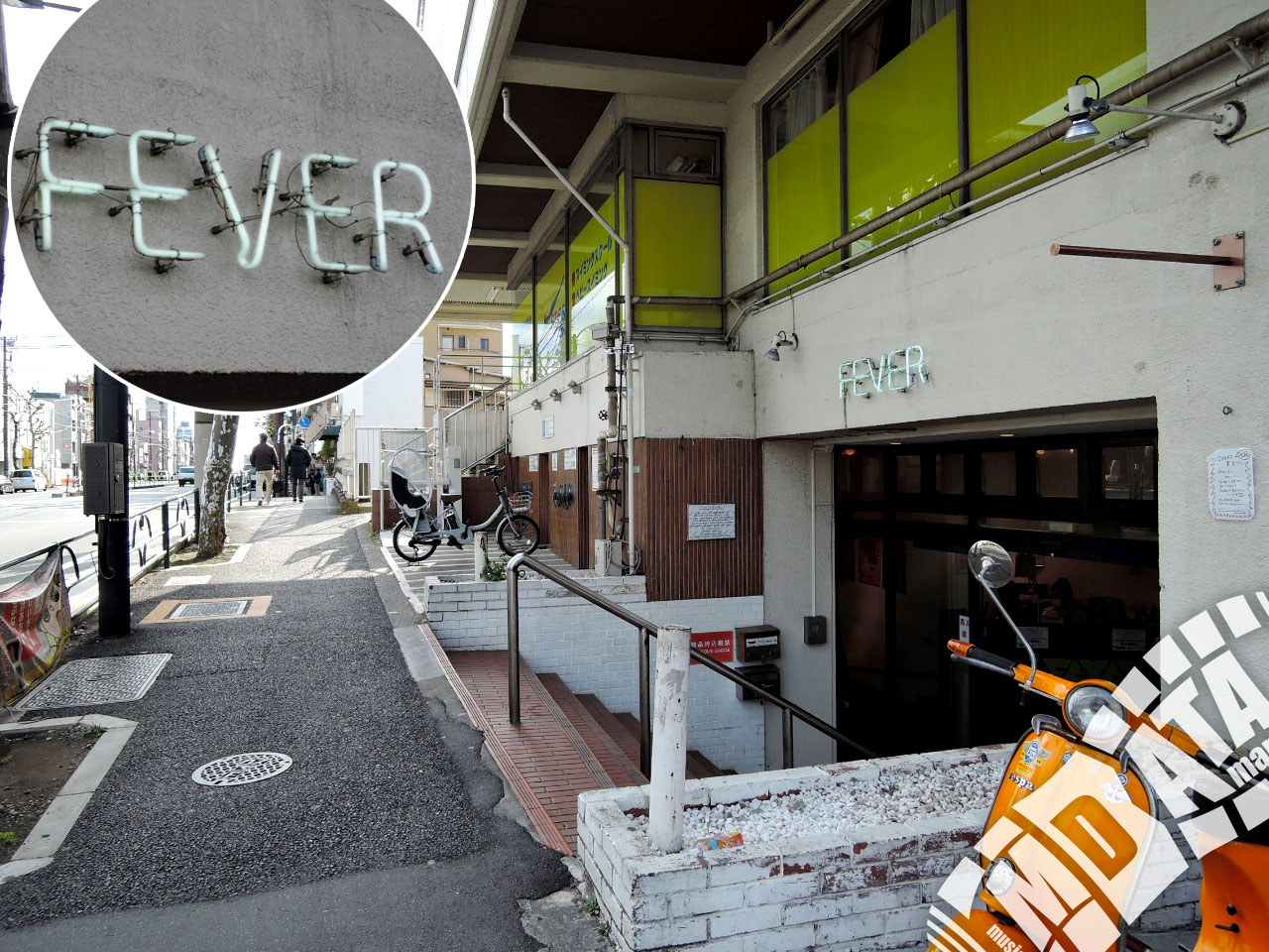 新代田Fever完全解説2026｜見え方・キャパ・Popoの評判まで検証