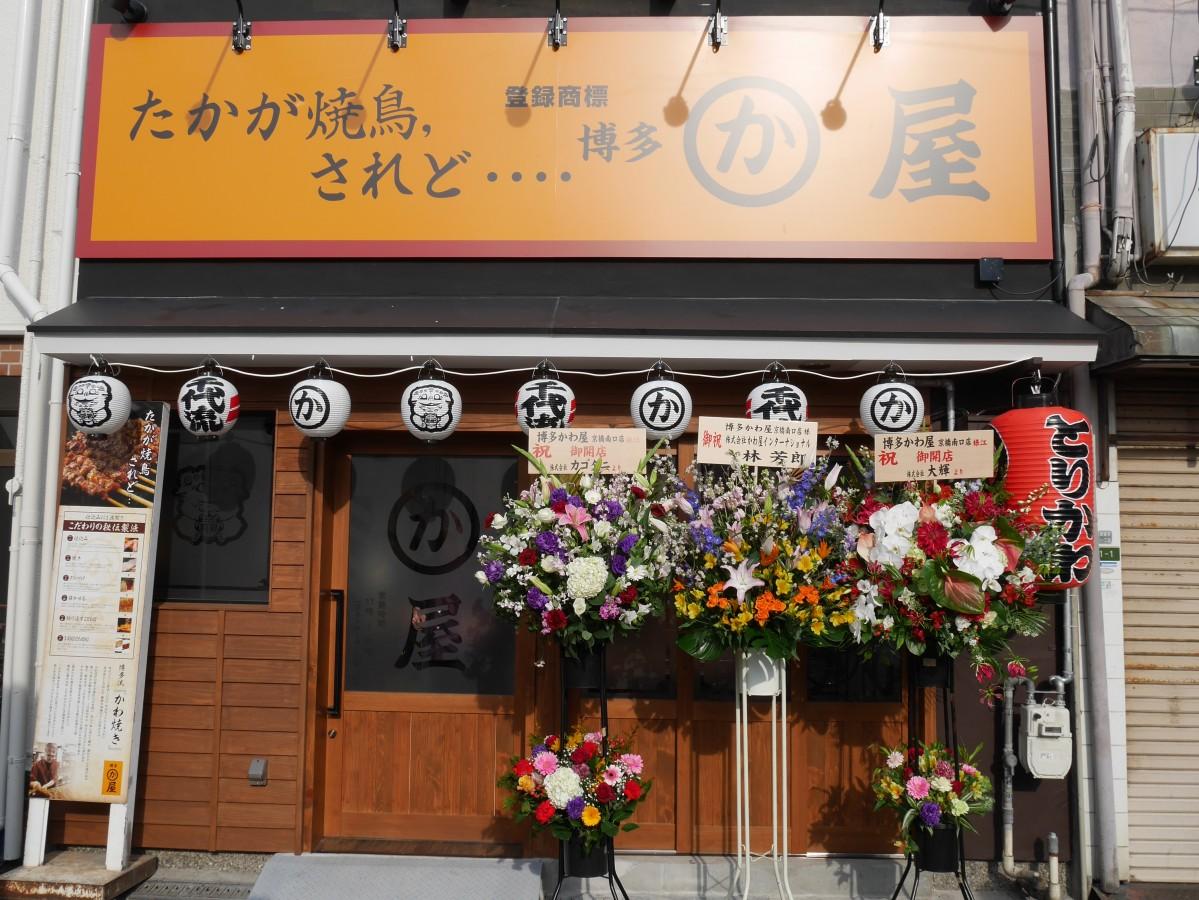 なぜ人気？博多かわ屋京橋南口店のリアル評判！名物とりかわと混雑・予約の真相