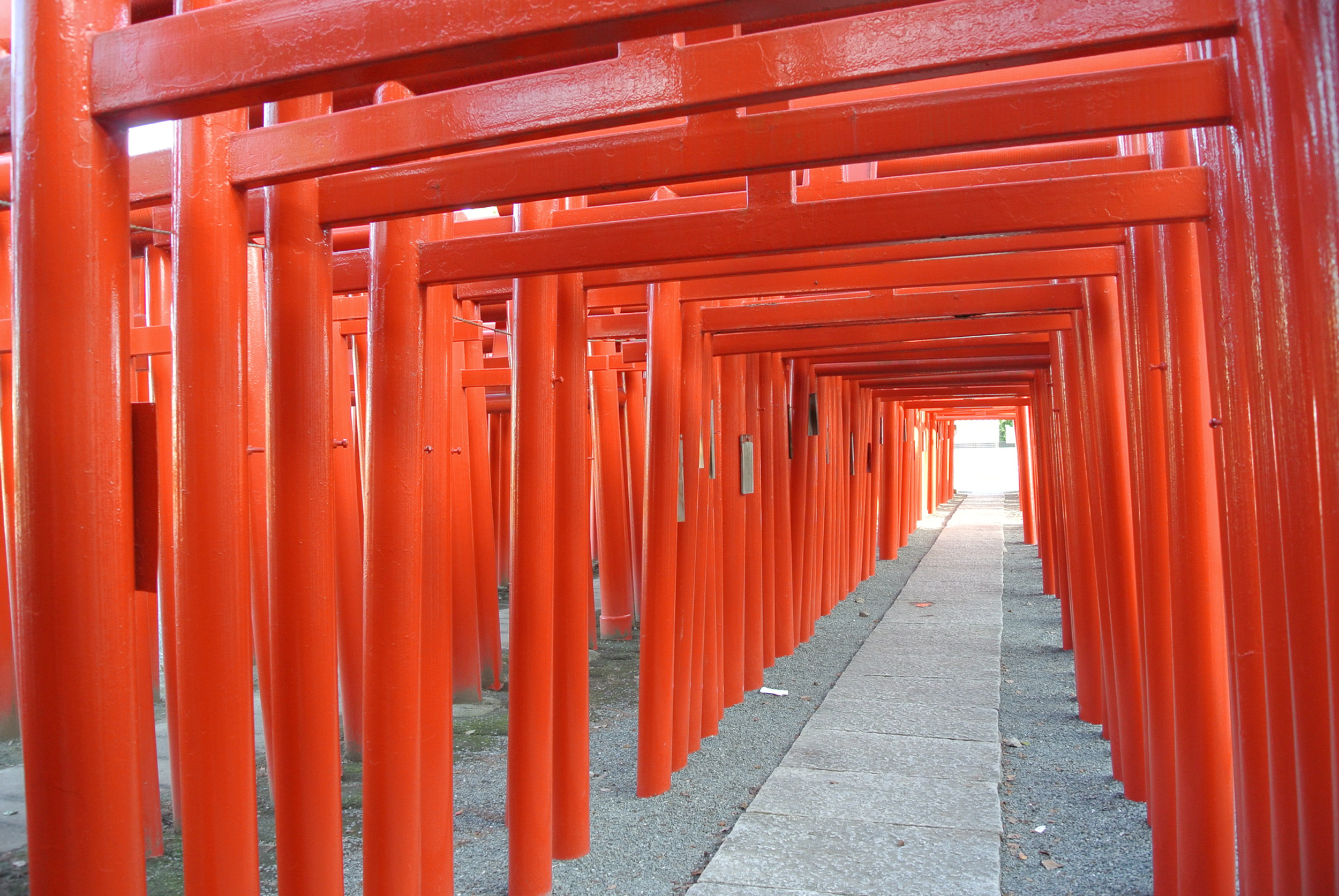 小泉稲荷神社の鳥居の数とご利益の真相！2026年最新参拝ガイド