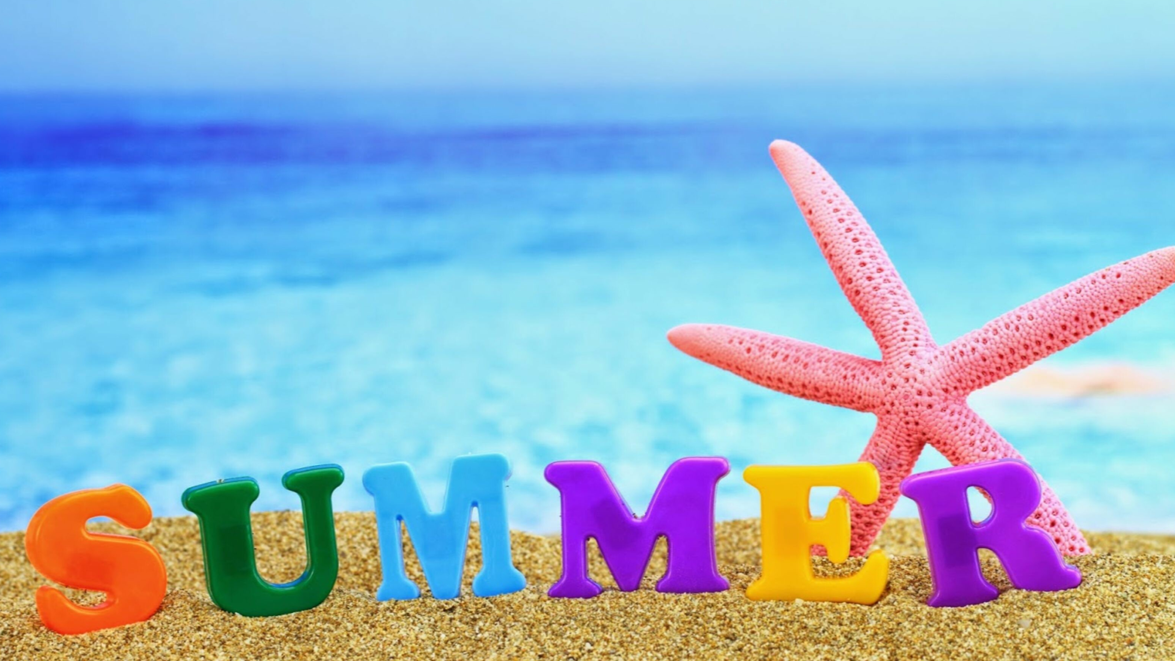 Summer Houseかもめの評判と料金は？予約殺到の秘密と注意点を解説
