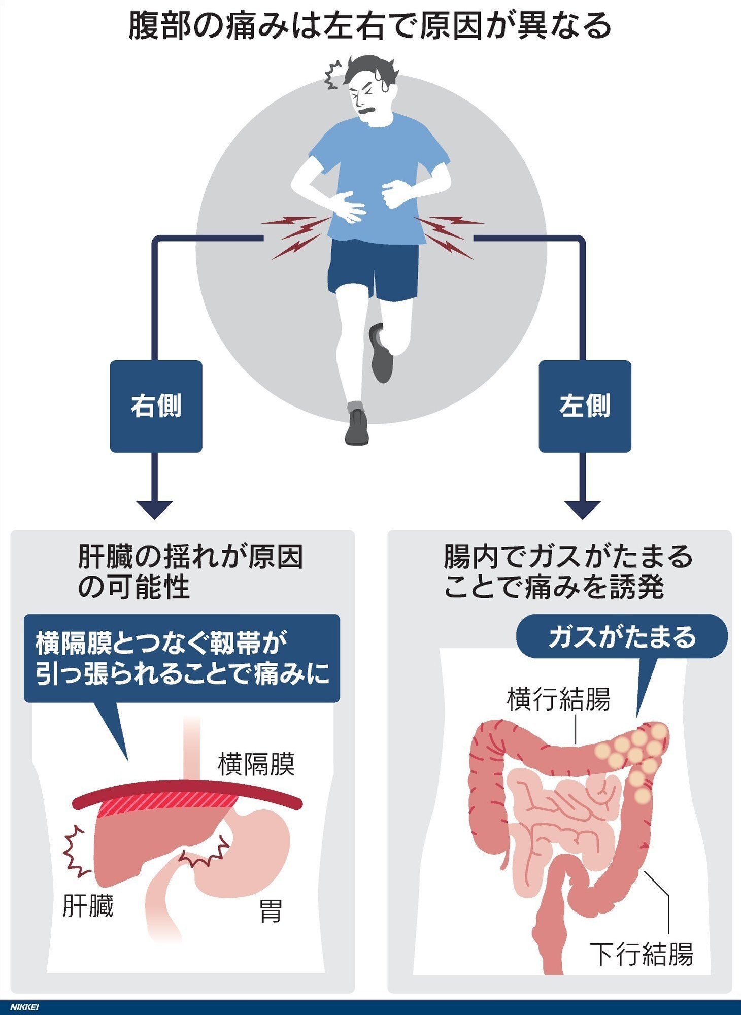 ランニング中の腹痛なぜ起きる？右と左で違う原因と即効対処法