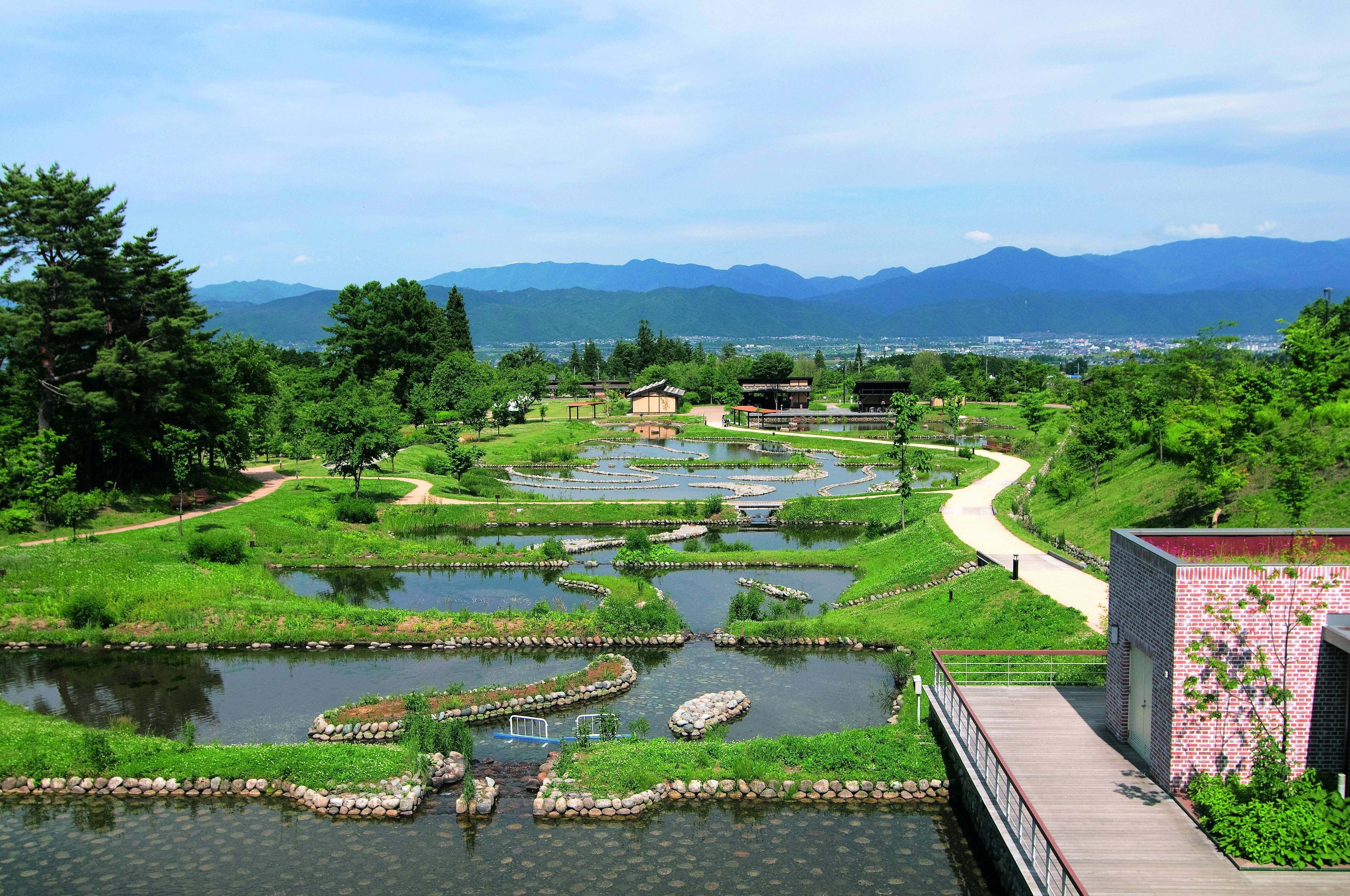 あづみの公園2地区の決定的違いとは？2026年最新イルミ＆完全攻略