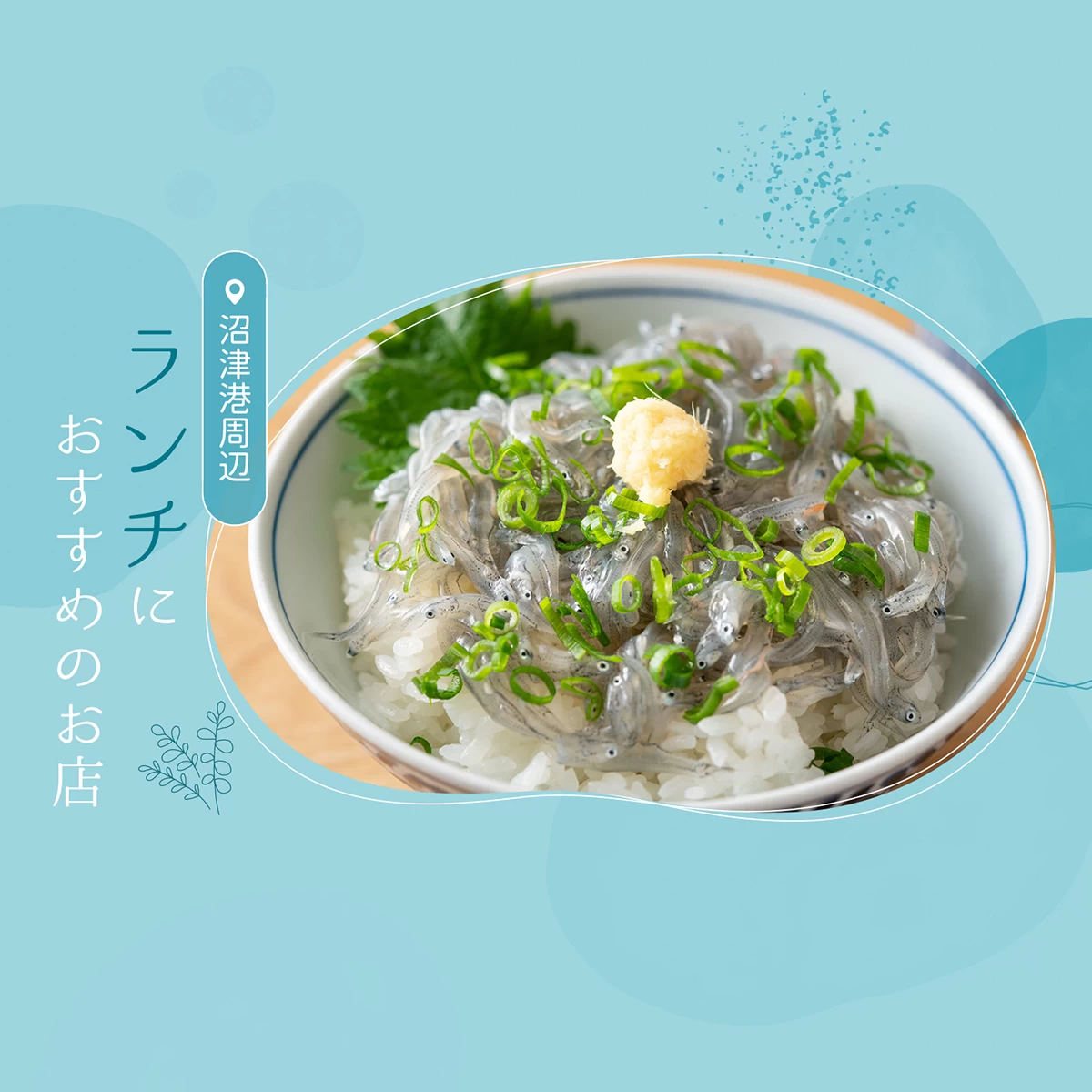 沼津港ランチ完全攻略2026！海鮮丼・アジフライの名店と穴場