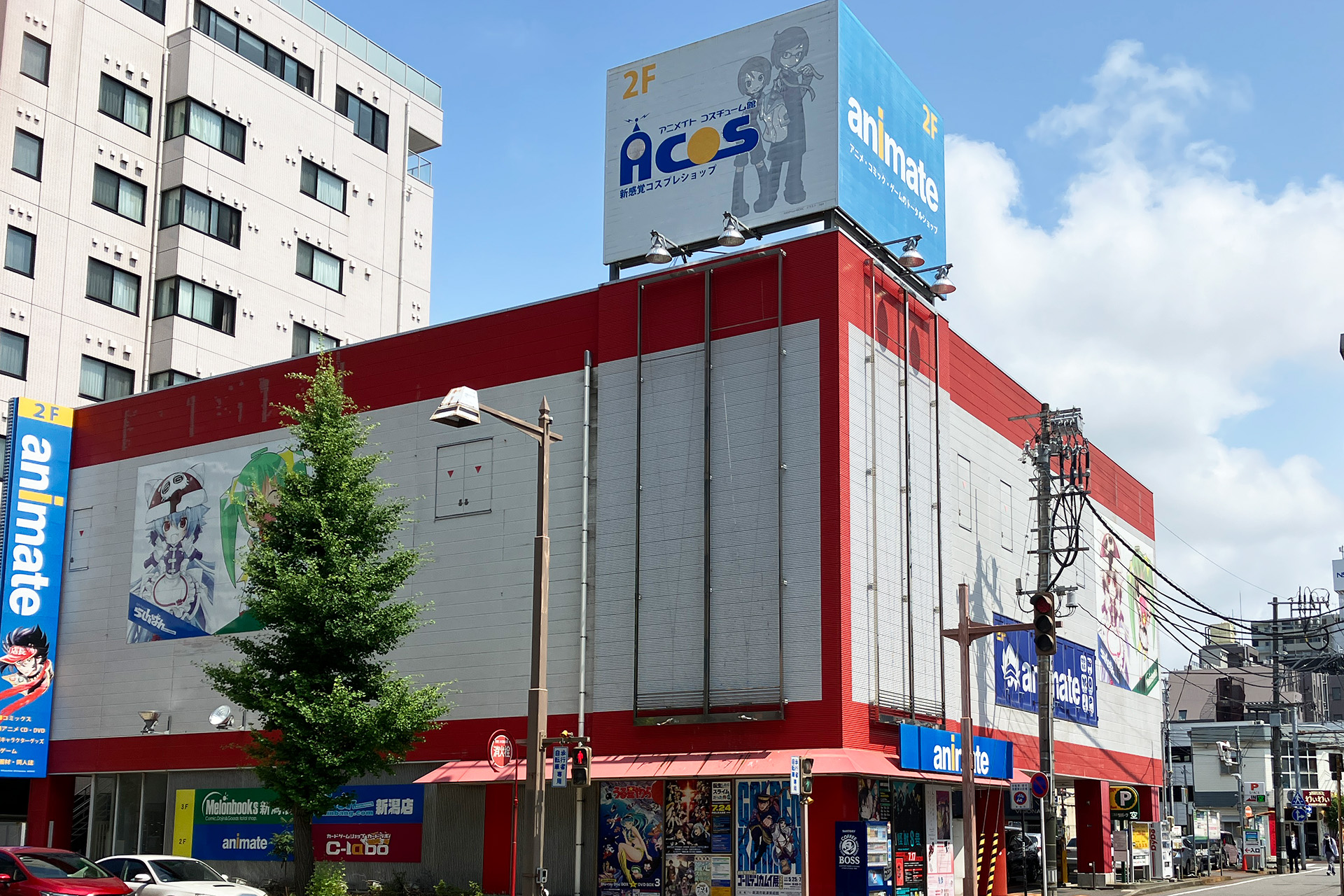 アニメイト新潟の写真を徹底調査｜2026年最新の店内・グッズ棚・イベントのリアルな姿