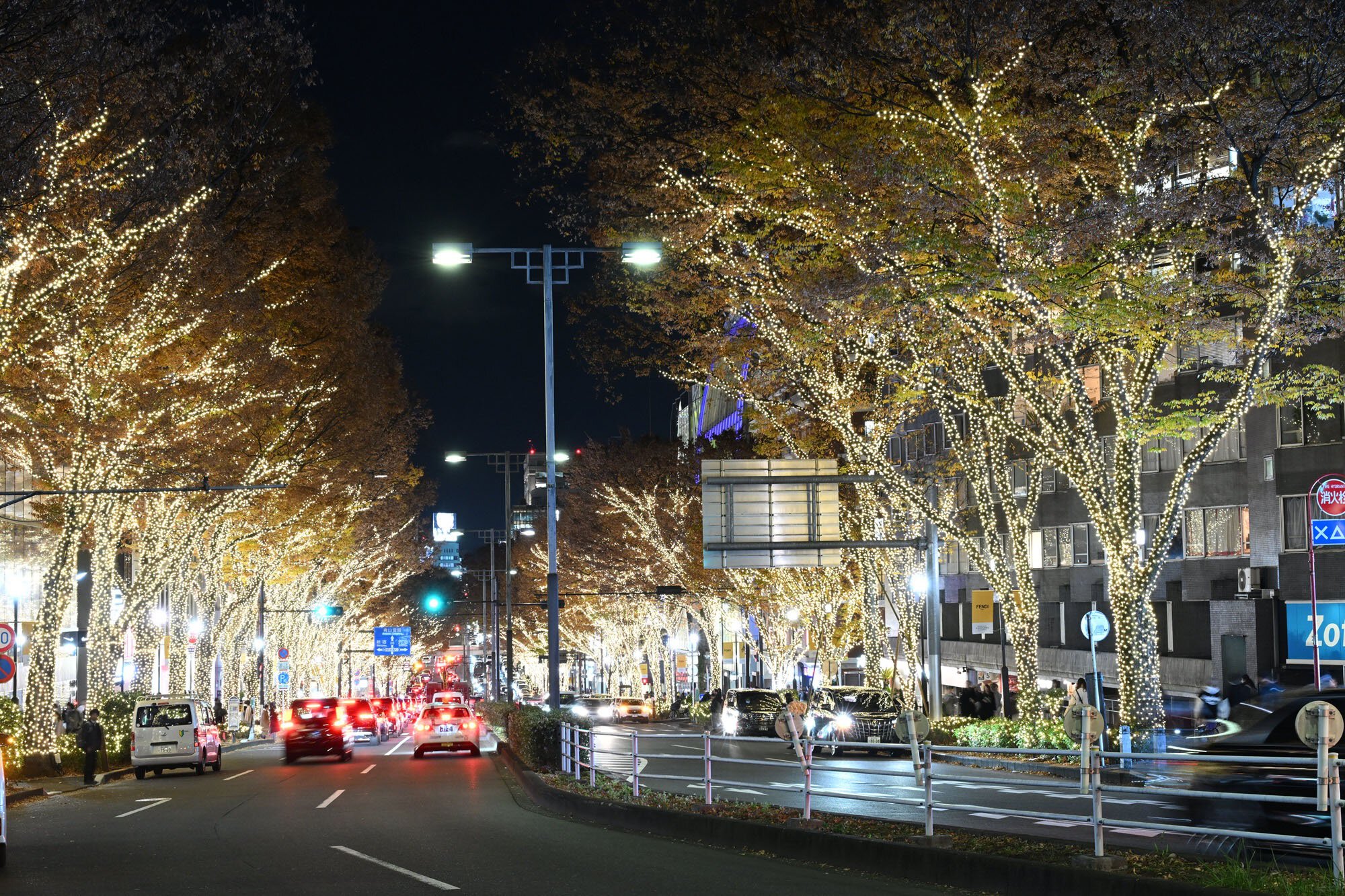 表参道イルミネーション徹底攻略！点灯期間や混雑回避ルートと穴場情報