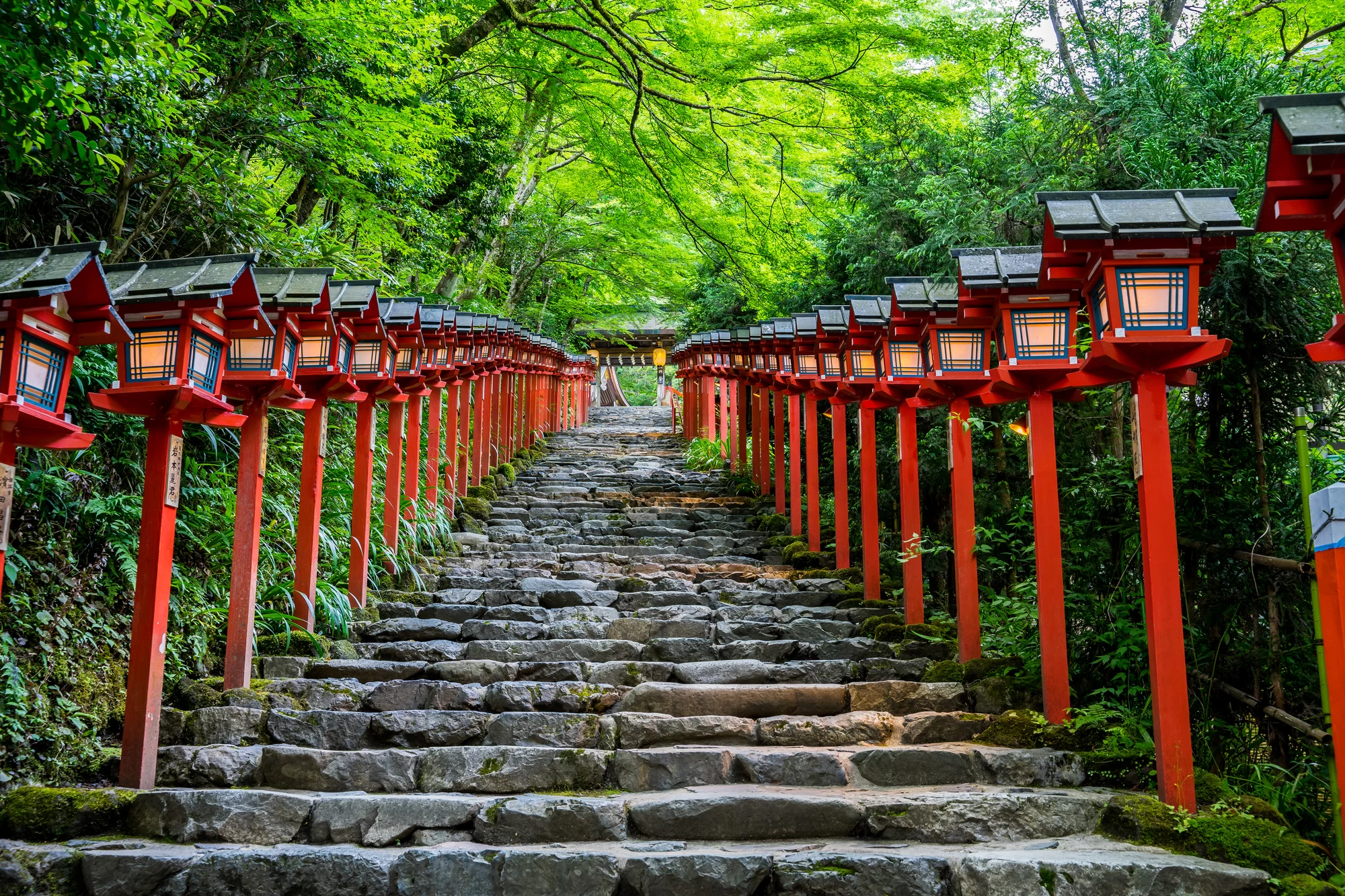 京都観光の穴場を徹底解説！地元民が教える静かな名所と混雑回避術