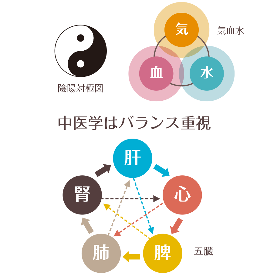 中医学とは？日本の漢方との決定的な違いと体質診断の真実【2026年最新】
