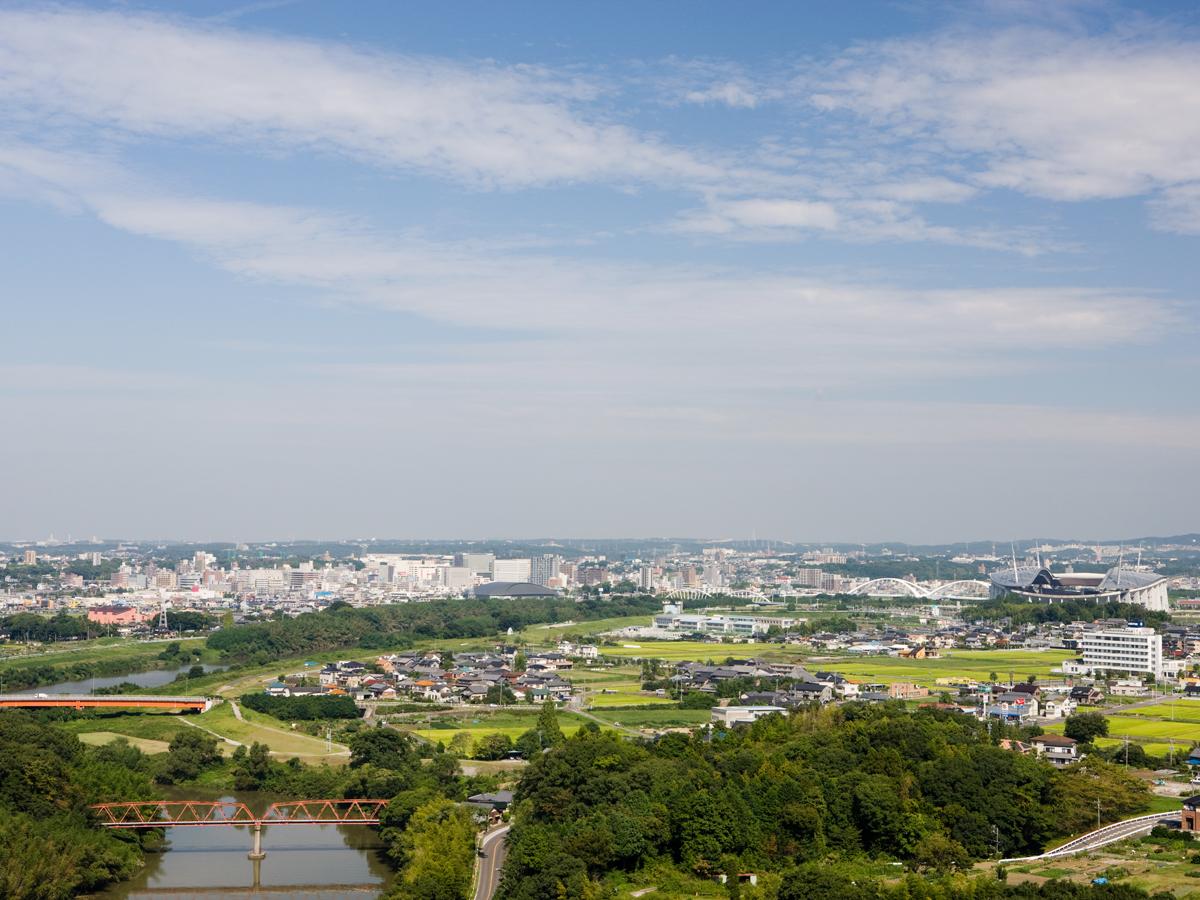 野見山展望園地の絶景夜景と桜！道順や駐車場の注意点を徹底解説