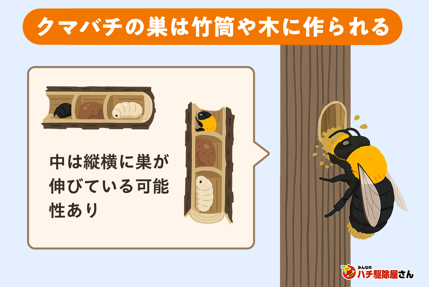 軒先の丸い穴を放置するな！クマバチの巣が招く木造被害と正しい駆除法