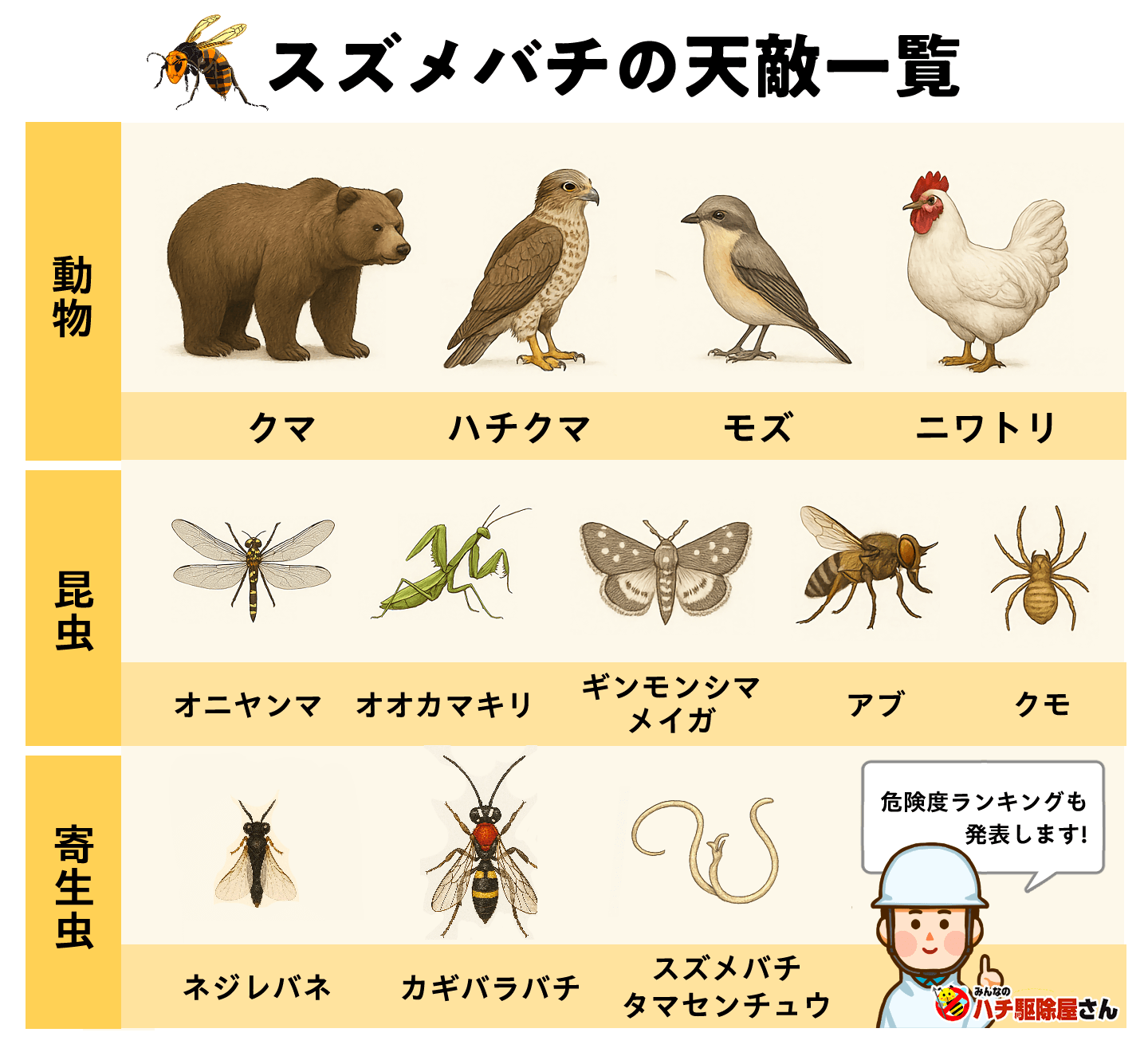 蜂の天敵ランキング！最強捕食者の正体と弱点を突く寄せ付けない撃退法