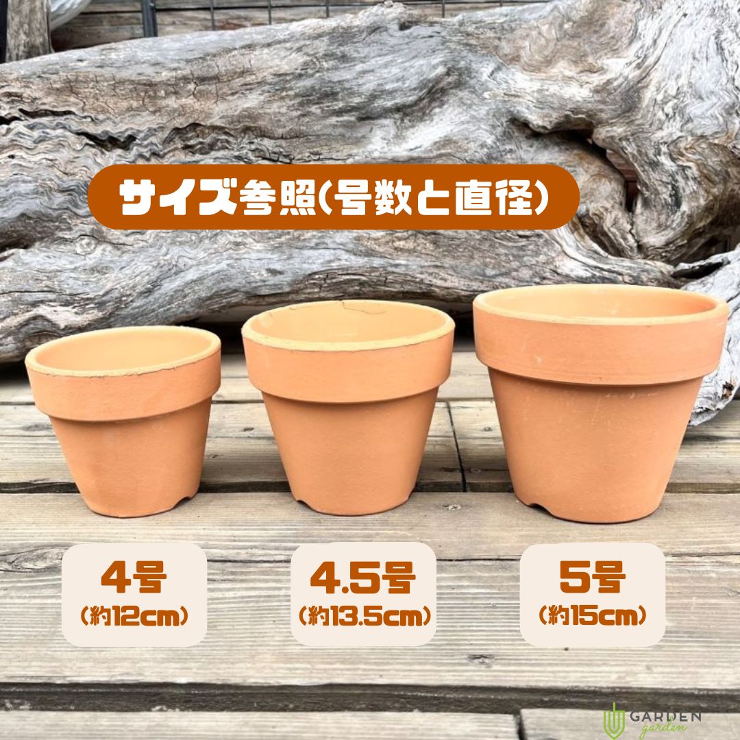 5号鉢のサイズは何センチ？土の量や観葉植物の選び方を徹底解説
