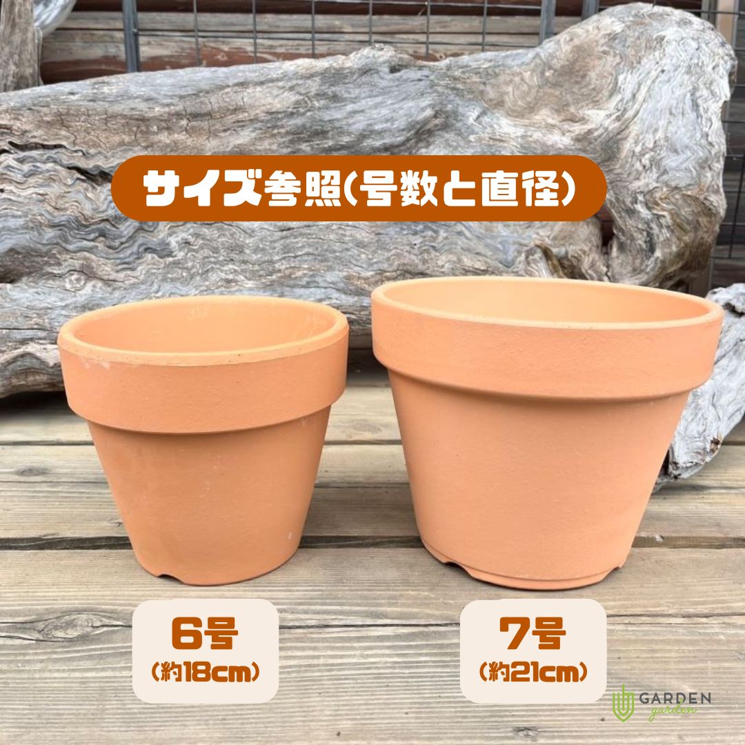 7号鉢のサイズは何Cm？直径・土の量と失敗しない植物選びの全知識