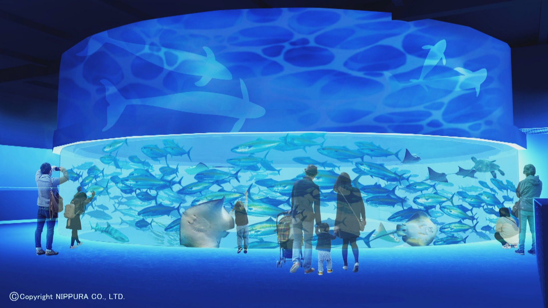 新屋島水族館の閉館騒動の真相と現在！マナティーや侍ショーの魅力