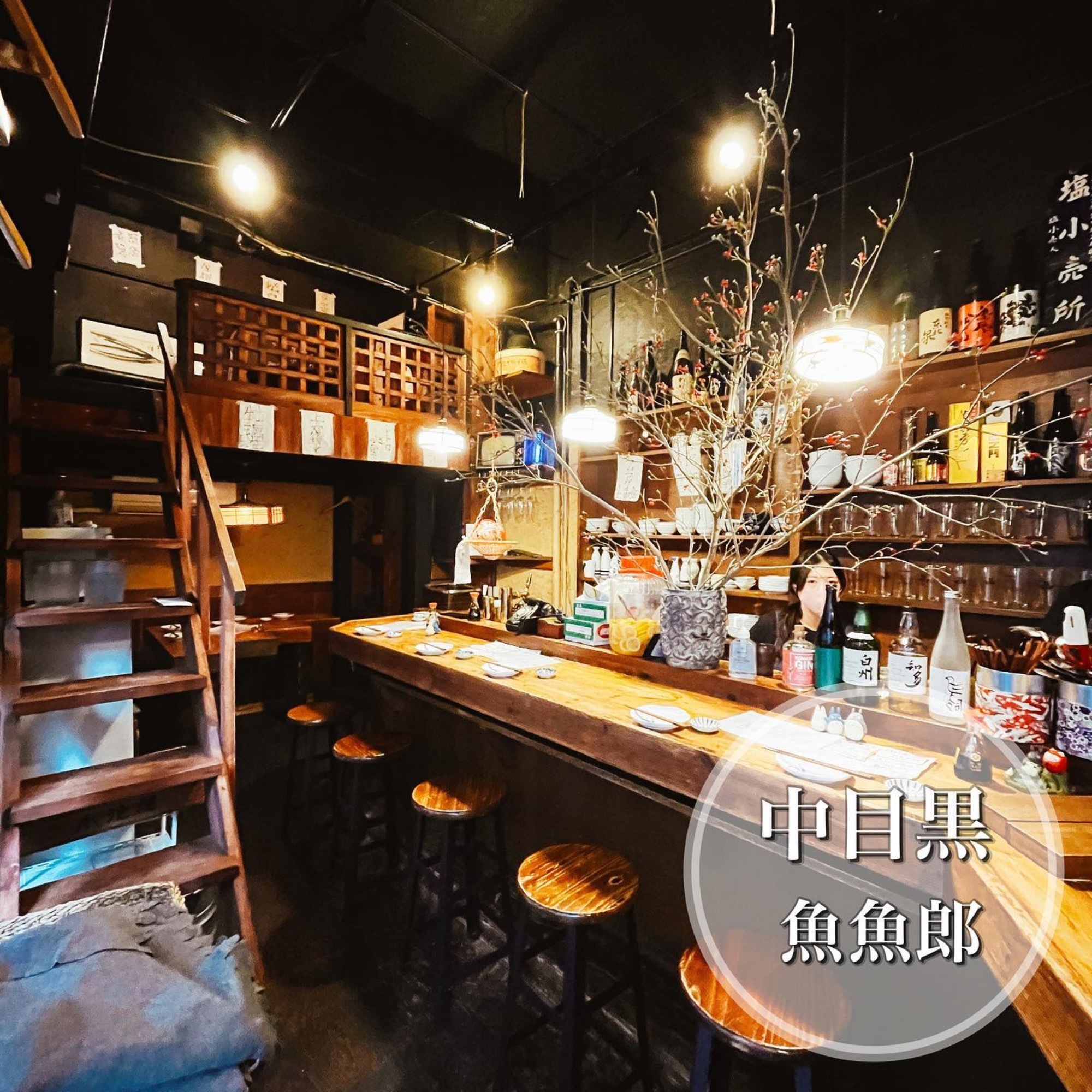 中目黒の予約困難店「魚魚郎」なぜ人気？絶品刺身と予約の裏技を徹底解説