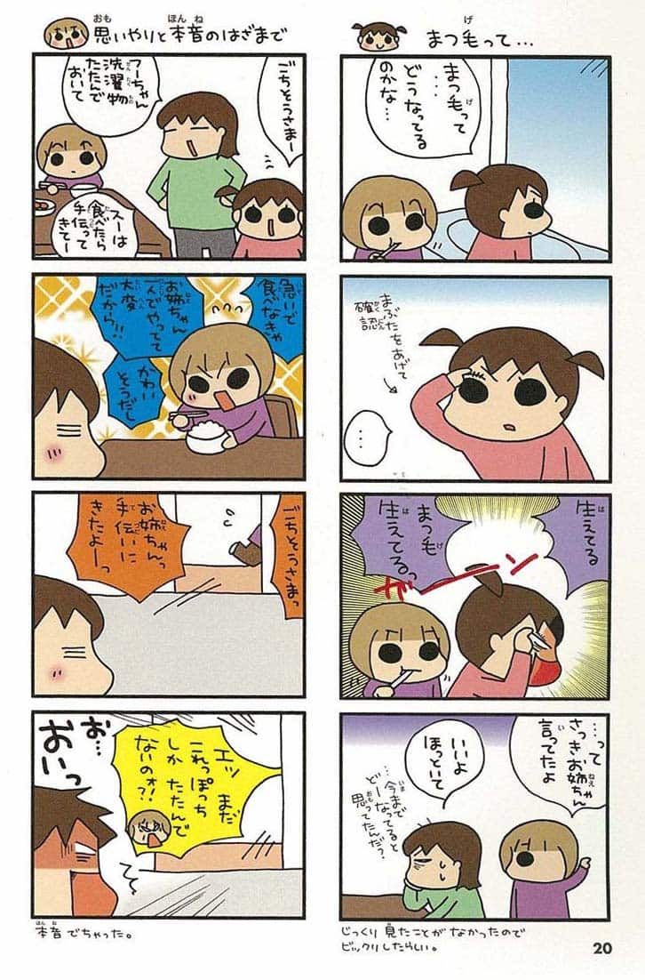 うちの3姉妹の現在｜フー・スー・チーの年齢と結婚・職業の真相