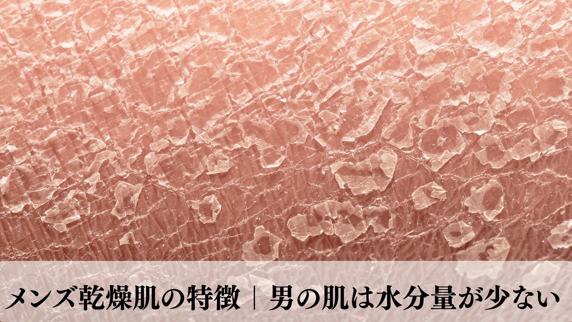 チェストプレスの平均重量と体重比の真実！男女別目安と脱初心者の基準