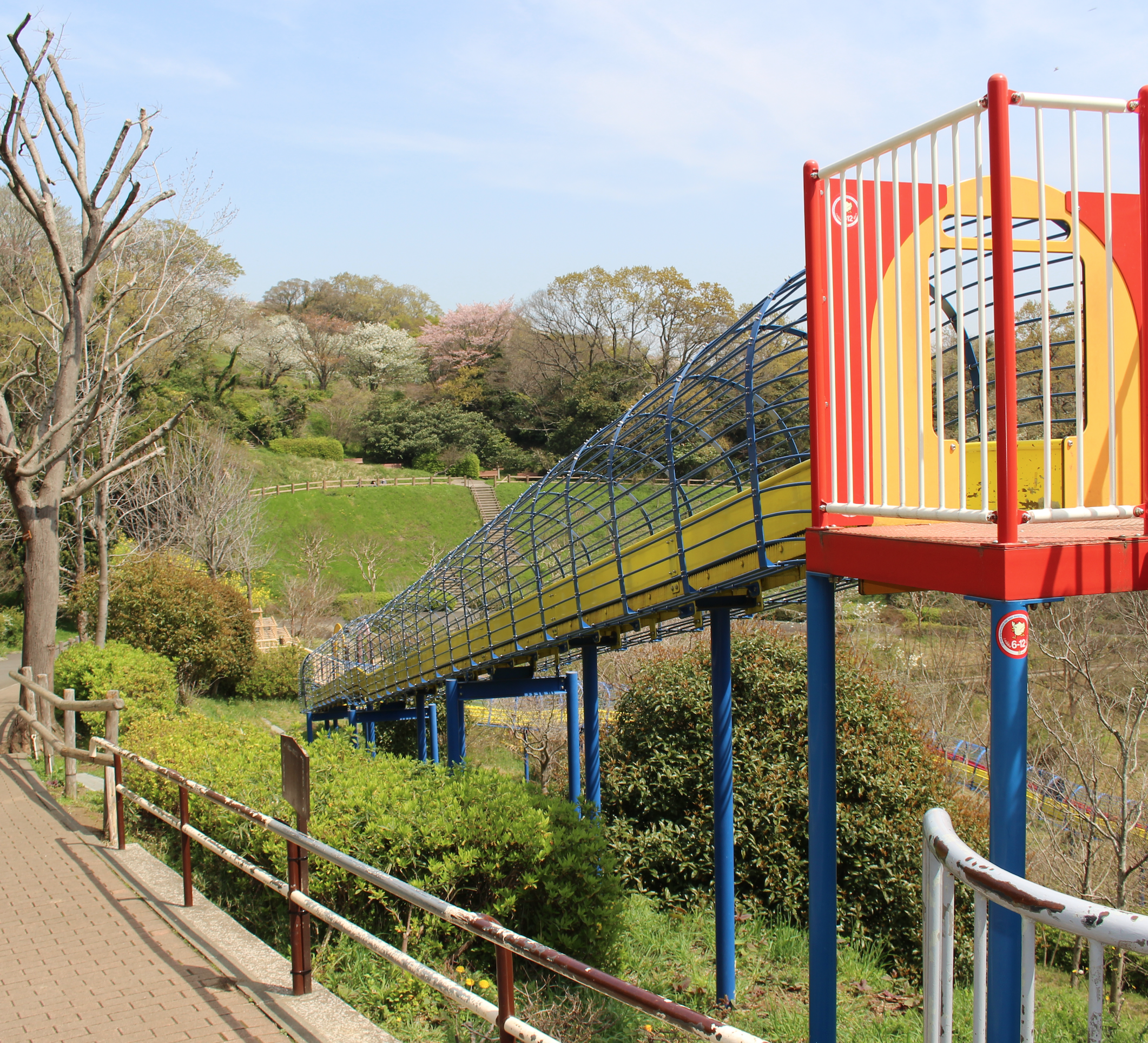 【2026年最新】近くの公園を徹底調査！大型遊具＆無料駐車場の穴場ガイド