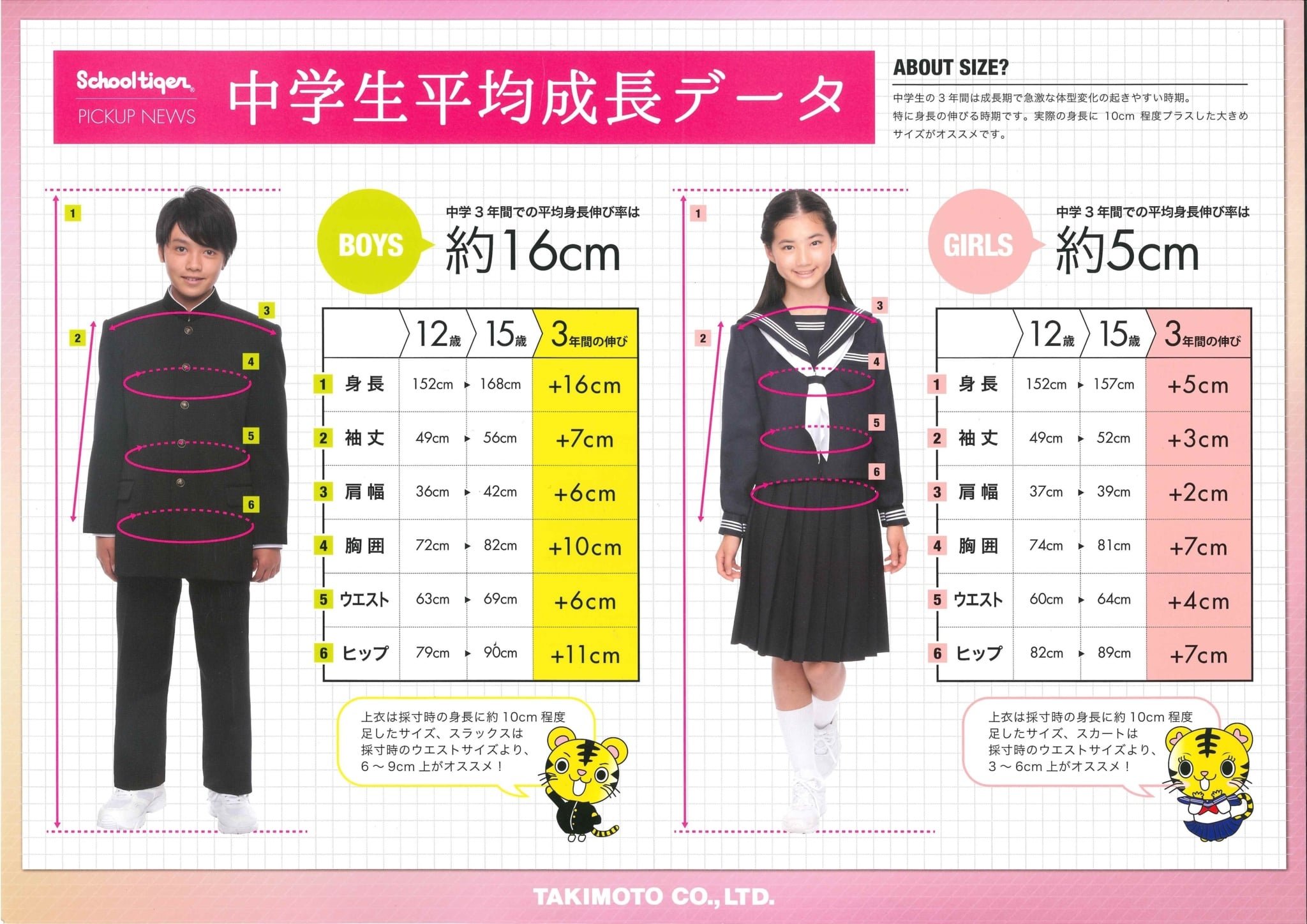 【2026最新】中学生の平均身長と成長スパートの真相！男女別推移と伸びる秘訣